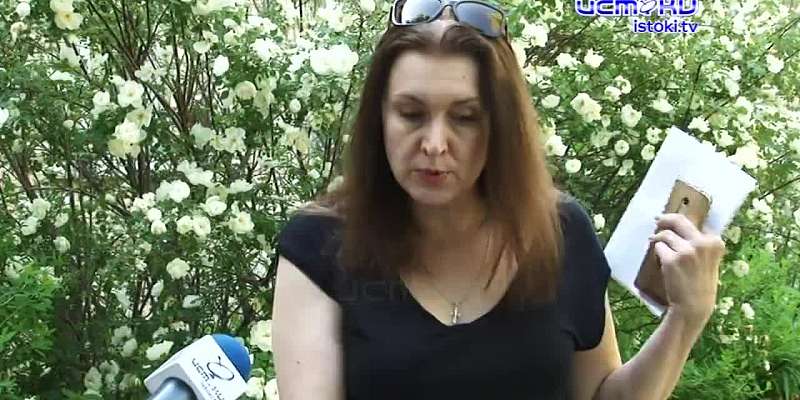 Лают и кусают: орловчане жалуются на бездомных собак, но проблему никто не решает