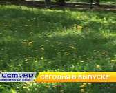 Ты там не коси, ты здесь коси.Лучше понедельники взять и отменить.Место встречи изменили.ОБ ЭТОМ И НЕ ТОЛЬКО В 19:00 В ПРОГРАММЕ "ОПЕРАТИВНЫЙ ЭФИР"