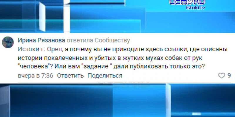 В Орле прошло заседание, где зоозащитники и чиновники обсудили введение поправок об усыплении бездомных собак