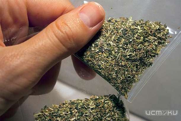 Полицейские нашли у орловчанина «спайс»