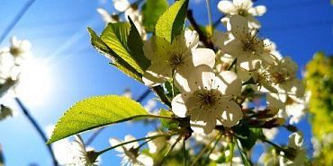 В центре Орла раскопали артефакты 18 века