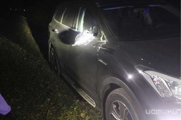 Водитель иномарки сбил прохожего в Орловской области Водитель иномарки сбил прохожего в Орловской области