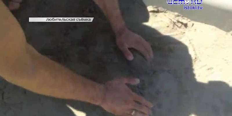 В Орле горели офисы в здании Научприбора, власти сделали первый шаг к строительству альтернативного выезда из Зареченского микрорайона, а мэр пообещал...