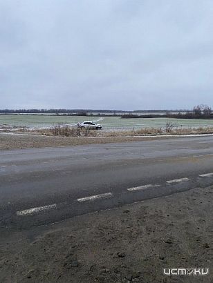 Под Орлом из-за лисы автомобиль улетел в кювет 