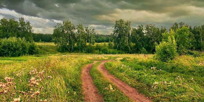 Сегодня в Орле будет пасмурно, но тепло