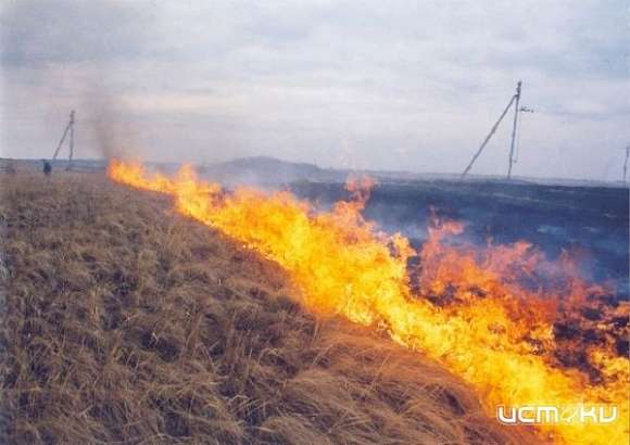 МЧС предупреждает