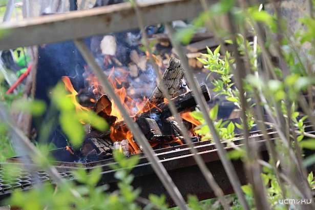 Орловчане заплатили 250 тыс. рублей штрафов за поджоги сухой травы и мусора