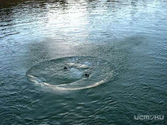 В Орле возле набережной Дубровинского утонул 13-летний подросток