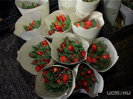 Новости за 90 секунд: орловчанин ограбил организацию из-за невыплаты зарплаты, 200-летие со дня рождения Тургенева будут праздновать по всей России, а орловчанки оказались намного умнее мужчин