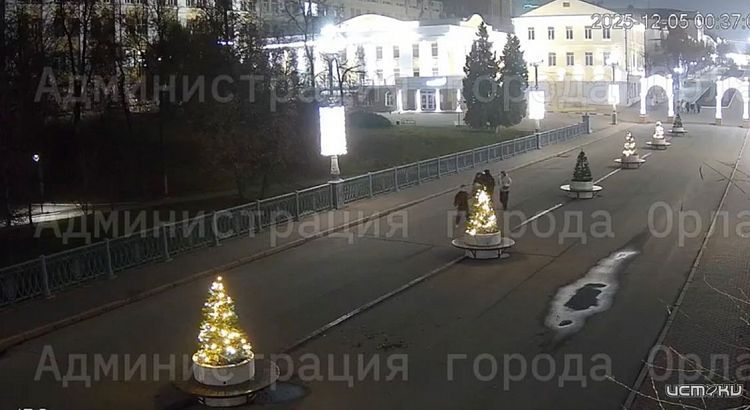 В Орле вандалы вырвали елку из вазона на Ленинском мосту 