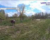 Орловский блогер Николай Максимчик посетил деревню Красная Горка.