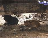 Счета школ разблокируют, ДТП с автобусами, а в прокуратуре разъяснили предпринимателям их права. Об этом и не только в следующей рубрике