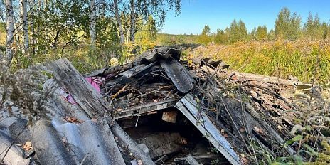 Строительный мусор выбрасывают в Андриабужском лесу в Орле уже много лет. А теперь еще и пилят деревья