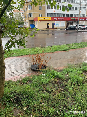 Орловская мэрия ждёт пока случится беда