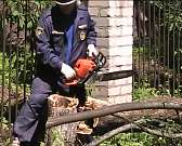 Последствия урагана в Орле1499067988