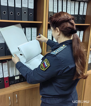 Угроза лишиться имущества убедила амчанку оплатить задолженности 