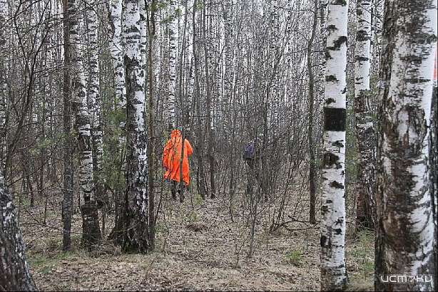 «Лиза Алерт» приглашает на полевые учения