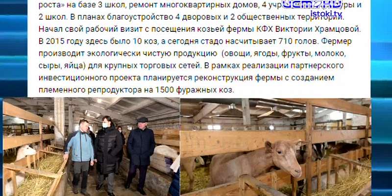Губернатор съездил на развивающуюся ферму, которая только лишь территориально имеет отношение к нашей области, появилась информация о том, кто придет ...