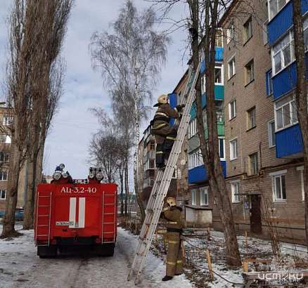 Орловских пожарных поблагодарили за помощь животным