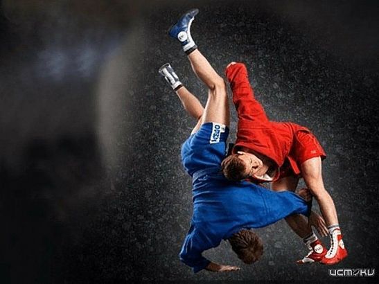 Самбисты сразятся в Орле 