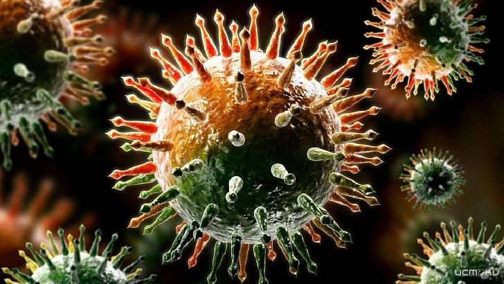 За минувшие сутки умерло трое орловчан с диагнозом COVID-19