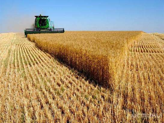 В орловской области зафиксирован рост основных показателей АПК.