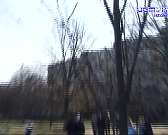 По одному дереву на каждого погибшего: в Орле высадили 50 символов жизни По одному дереву на каждого погибшего: в Орле высадили 50 символов жизни