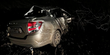 В Ливенском районе молодая пара вылетела на машине с трассы