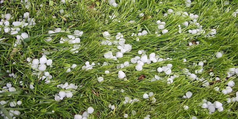 Метеопредупреждение: на Орловщину вновь обрушатся порывистый ветер и град