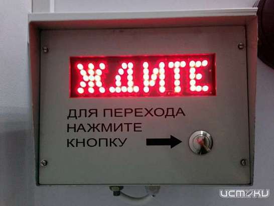Возле ОГИКа установили новый светофор