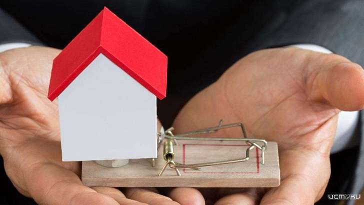 На пару с риелтором орловская чиновница проворачивала аферы с жильем для сирот