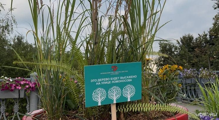 Сегодня в Орле продолжатся 2 фестиваля: цветочный и гастрономический