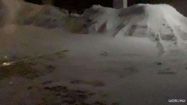 Ближайшая ночь простой не будет: метель