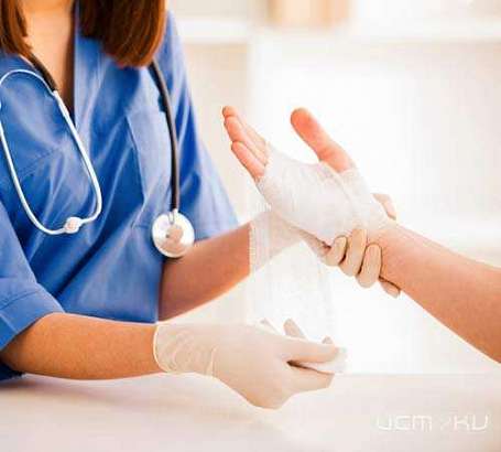 445 орловчан пострадали от укусов животных