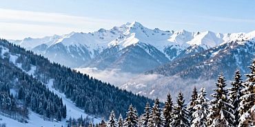 Когда лучше бронировать отель в Красной Поляне в 2026 году: сезоны, цены и как поймать максимальную скидку