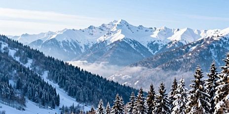 Когда лучше бронировать отель в Красной Поляне в 2026 году: сезоны, цены и как поймать максимальную скидку