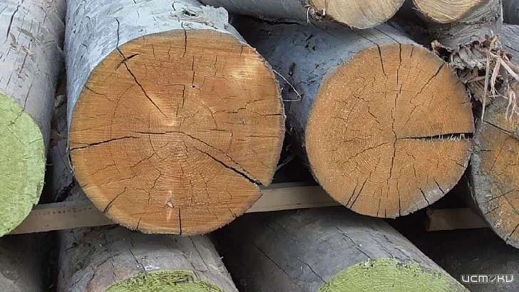 При распиле бревен орловчанин случайно нанес смертельную травму возлюбленной