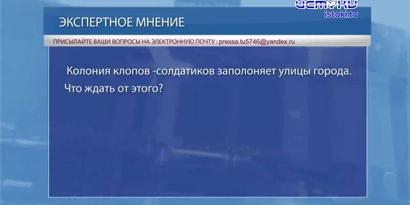 Экспертное мнение 19.07.23