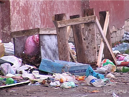 Орловчане не следят за санитарным состоянием городских улиц