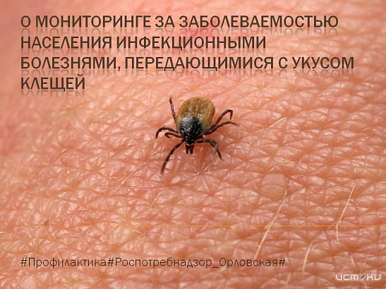 От укусов клещей в Орловской области пострадали 1450 человек