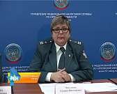 Заплати налоги и живи спокойно. В УФНС рассказали о декларационной кампании 2016 года