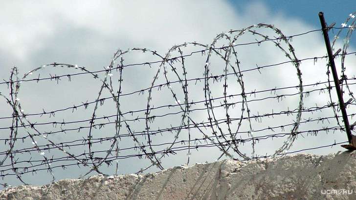 Мценский осужденный пытался за 80 тысяч рублей добиться УДО