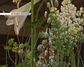 Открытие ассоциации дизайнеров в Орле