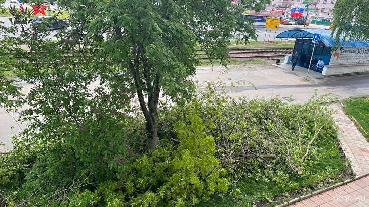 «Парахин мечтает сделать город похожим на собственную голову»
