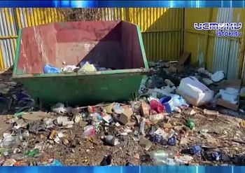 Шесть лет мусорной реформы превратили контейнерные площадки в помойки