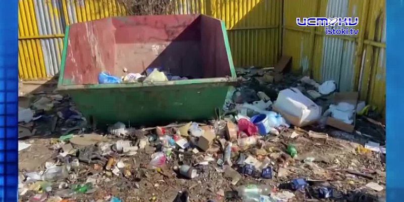 Шесть лет мусорной реформы превратили контейнерные площадки в помойки