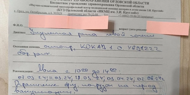 В Орле на Новосильской бродячая собака со спины напала на ребенка