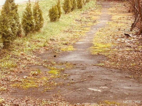 "Скупой на тепло". Погода в апреле орловчан вряд ли порадует 