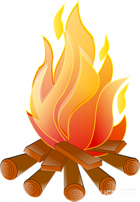 Орловчане заплатили 31 тысячу рублей за незаконные костры