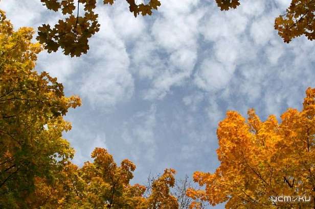 Выходные в Орле будут теплыми